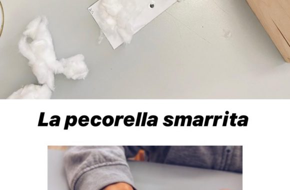 pecorella (2)